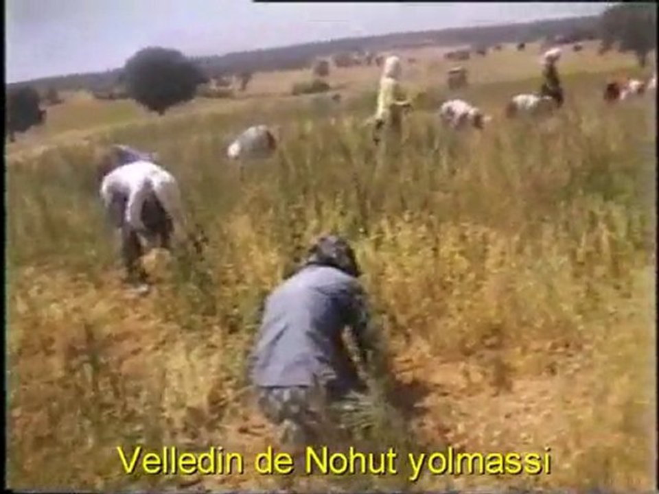 USAK BANAZ Sabankoy Velledin Nohut Yolma