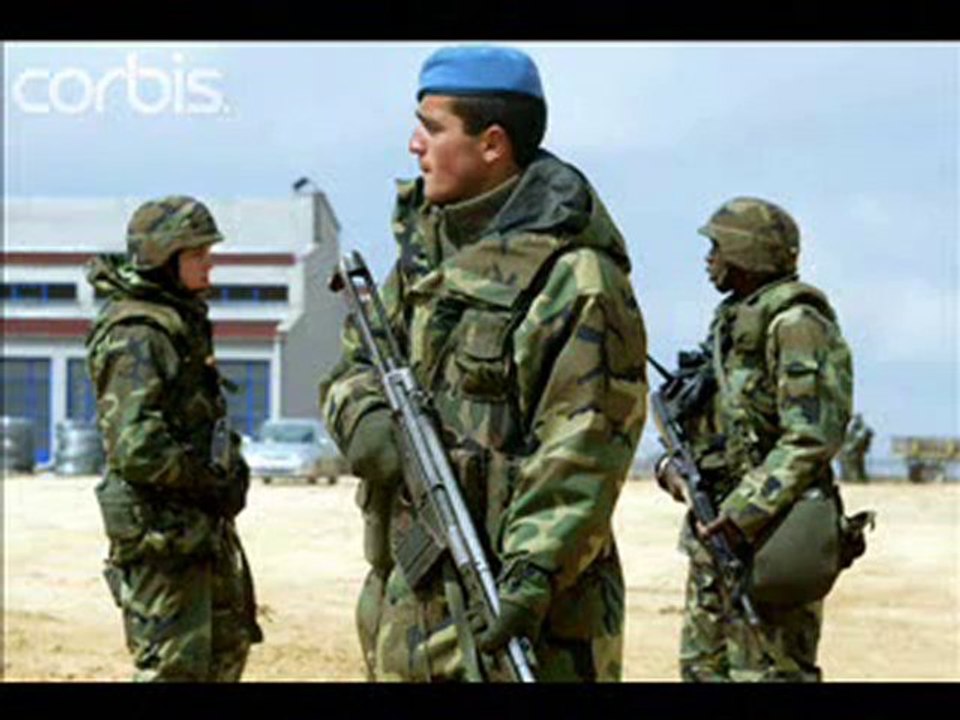 Ayhan falakali 2 - mehmetcik