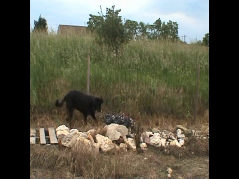 PREMIER ROULAGE E-MAXX 6*6*4