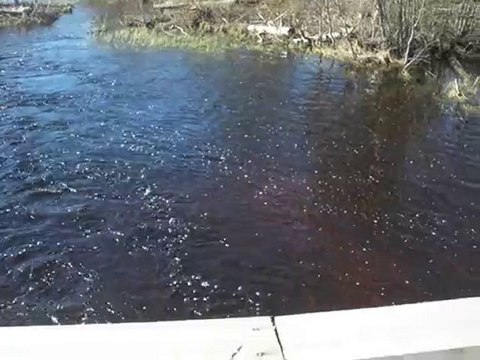 заброшенная деревня