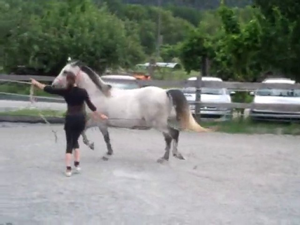 Hidalgo 4ème scéance au sol