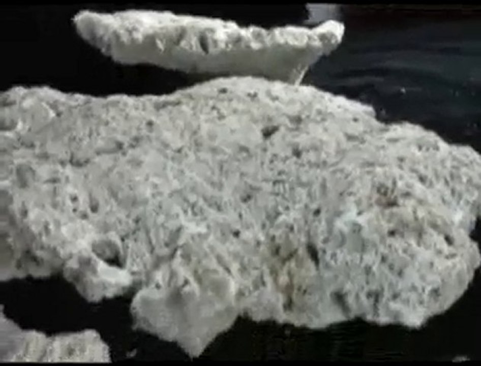 Shelf Eco Roc Dry Live Rock Demo - Bulk Reef  Supply