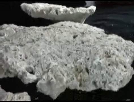 Shelf Eco Roc Dry Live Rock Demo - Bulk Reef Supply