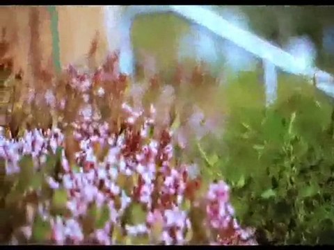 High School Students for Environmental Awareness Ecommercial