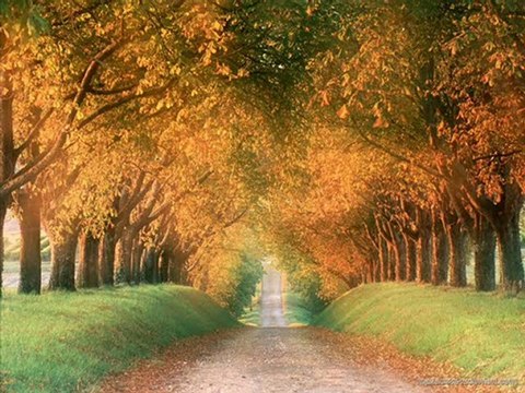 ya sen gel.huseyin rumi...hikmet metin cavdar