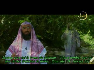 Histoires des prophètes E27 [Mariam - Marie] 2/2