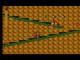 Ghouls'n Ghosts (Master System)