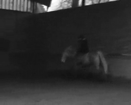 lib avril Popeye v2 def