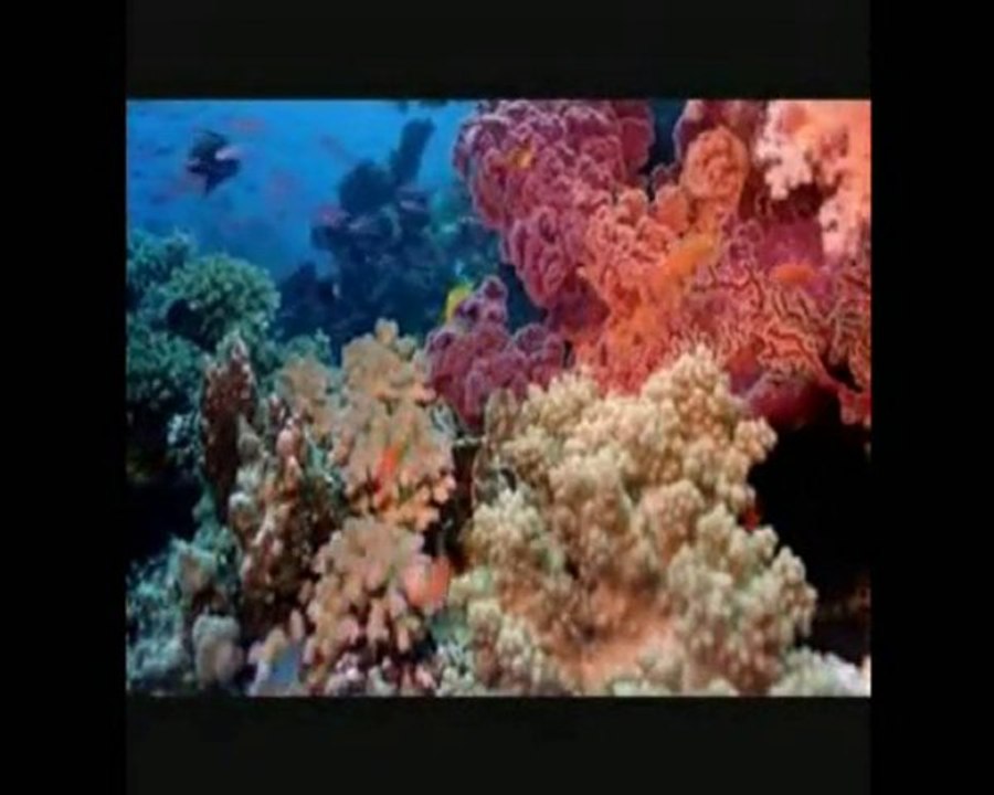 Los Sabandeños, Canción Del Mar (montaje)