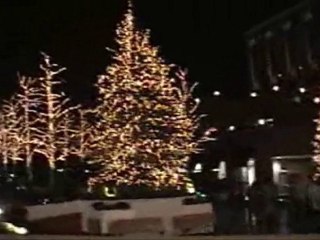 BOMBA REIGN Doves Cry Music Video   With Ending Credits