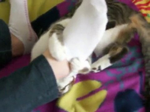 Les fantastiques aventures de Kawaïcat 2