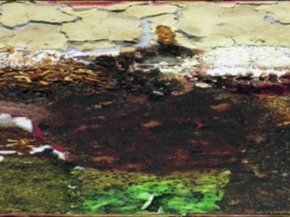 Aux Arts Lycéens et Apprentis ! Amboise Humus Erectus