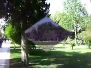 seyfettin sucu Ruhumda Sıkıntı var