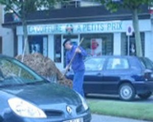 La Vengeance des semis - vendredi 11 juin 2010