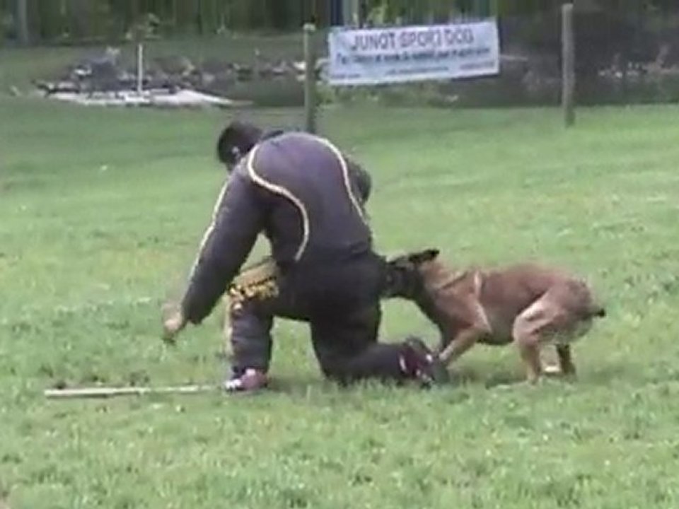 ARF Trial PennsWoods Ring Club May 8-9 2010
