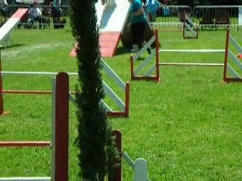 tgr miramas C1 taïlee