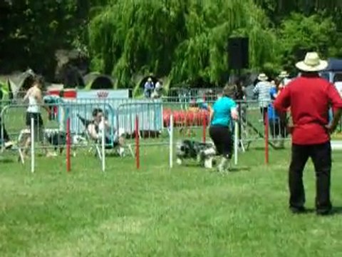 tgr miramas C3 sunny