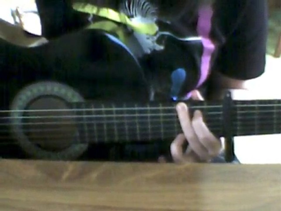 Cocoon - Chupee ( Tutorial)