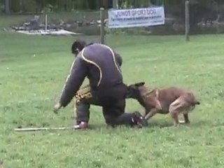 ARF Trial PennsWoods Ring Club May 8-9 2010