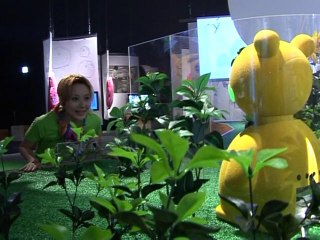 Robot cat gives rise to new generation of gadgets