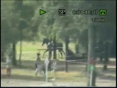 montage championnats 2006