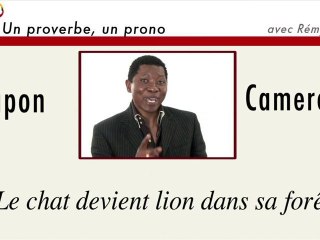 Un proverbe, un prono : Japon-Cameroun