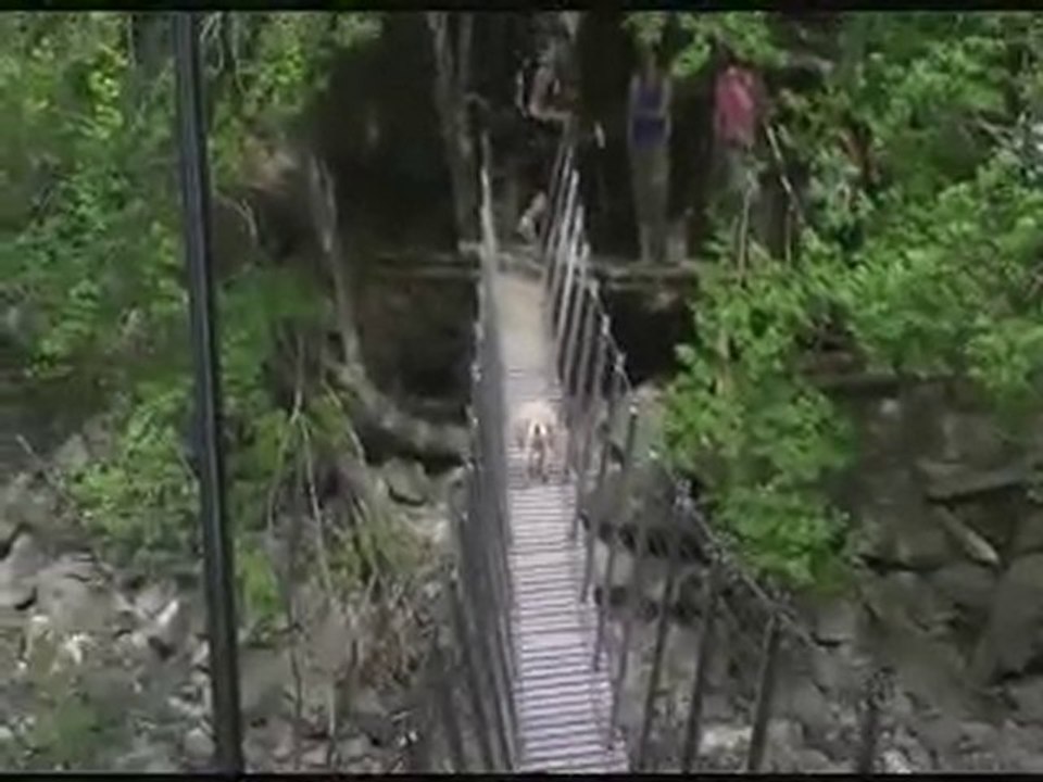 Mi chien mi mouton - Lame de Facibelle (Digne les bains)