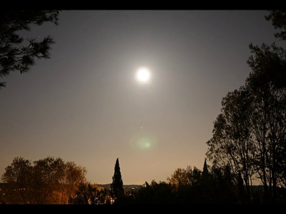 Skies in Motion Trailer 2010