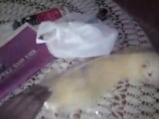 mescal sous la nappe