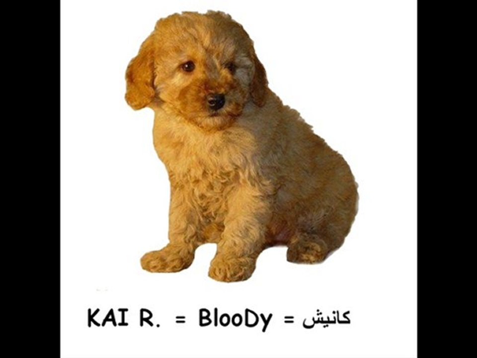 Kai R.