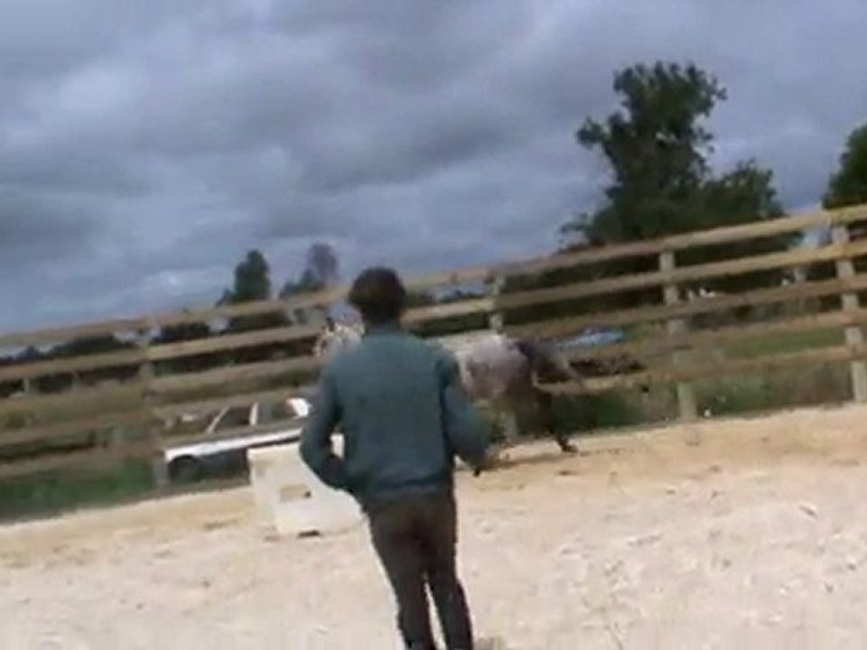 sarah saut en liberté