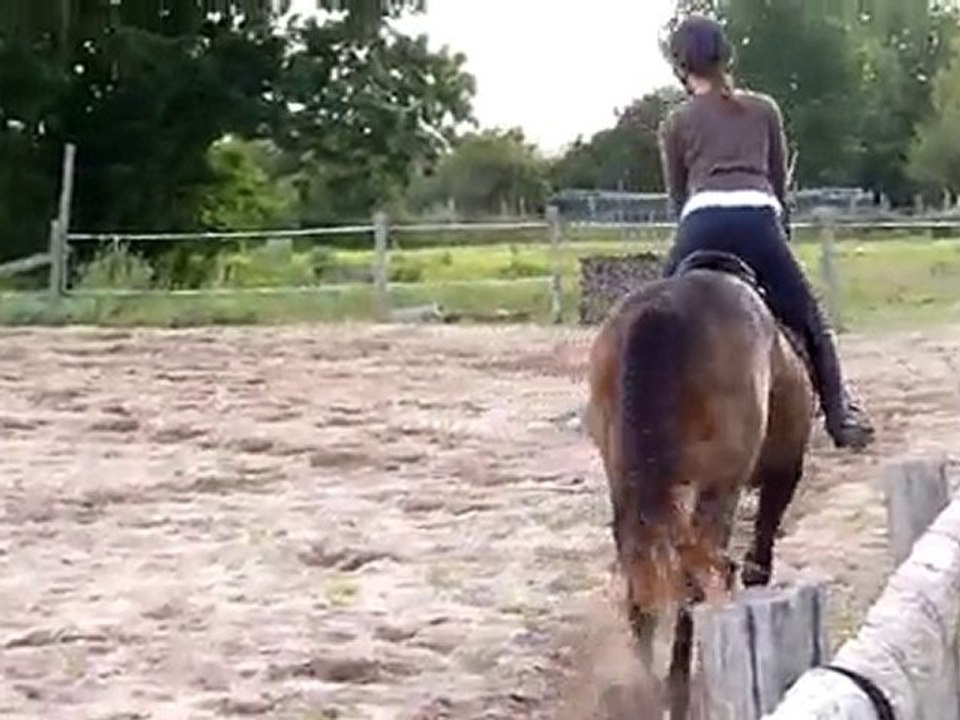 vendredi 11 juin 2010 (1)