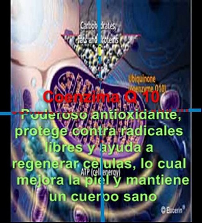 Resveratrol,Elixir de Juventud + Acai, Noni, Goji