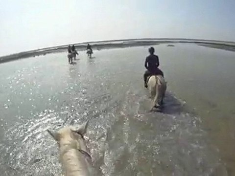 Sortie à cheval en Camargue avril 2010