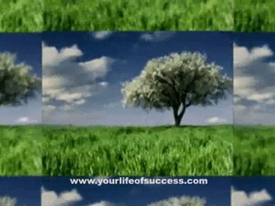 Success Quotes
