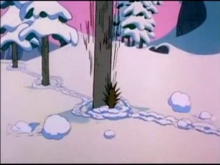 Wile E. Coyote – Freeze Frame