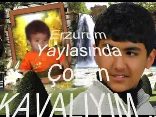 memet arıkan'dan  ben deliyim adlı şiir