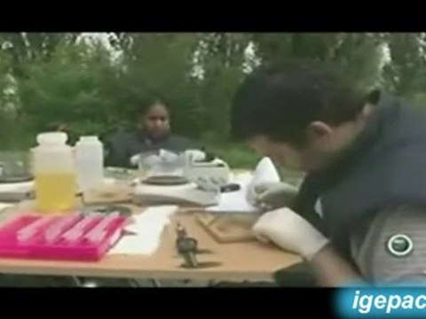 Pollution des eaux par les médicaments 2008