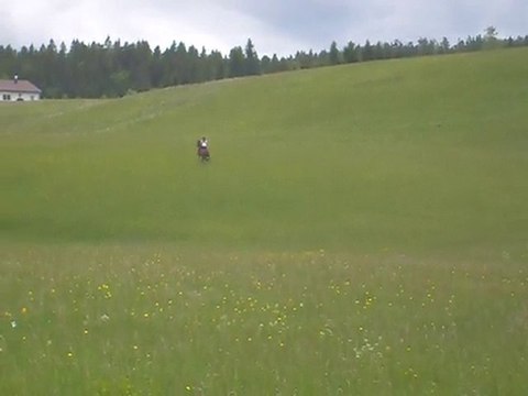 Galop dans mes champs