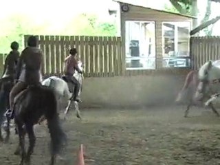 Reprise de Dressage du 31-03-2010. Partie1