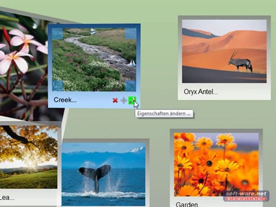 Collagen erstellen mit Fotowall (Freeware)