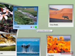 Collagen erstellen mit Fotowall (Freeware)
