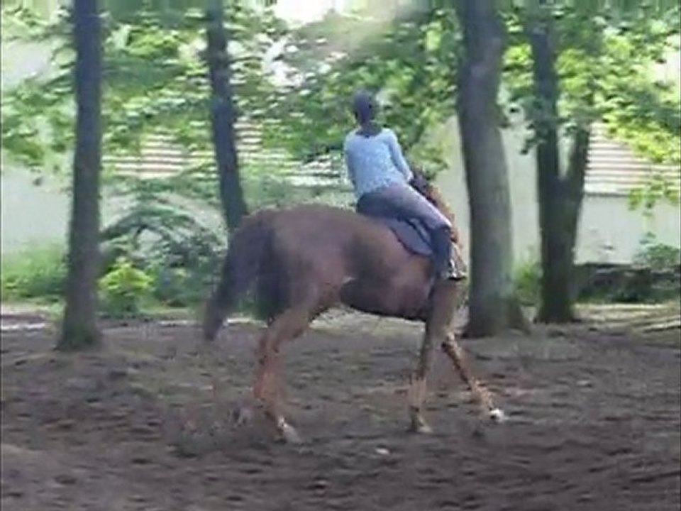 dimanche 06 juin