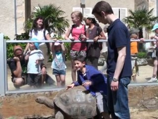 Visite VIP de Touroparc