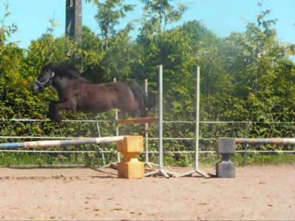 Saut en liberté / Mai 2010.