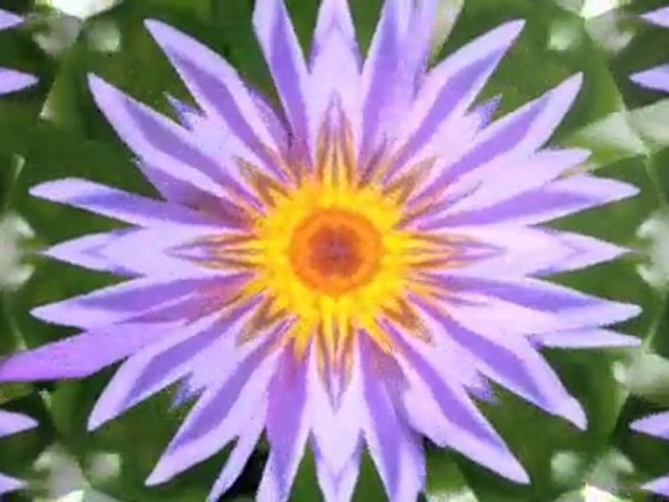 Kemikalier Sjælland København S Basf A/S