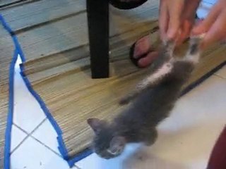 Gandalf, traumatisé