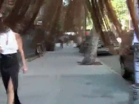 Products For Hair Loss: Why Some Work While Others May Not