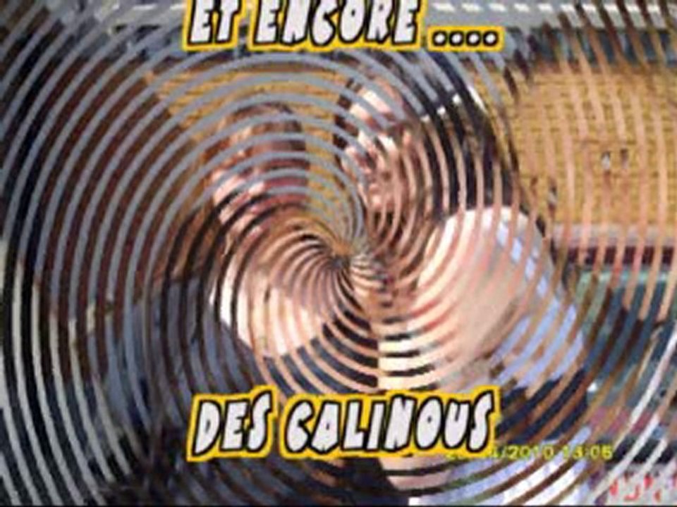 les amoutella