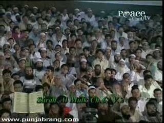 Zakir Naik - Questions and Answers